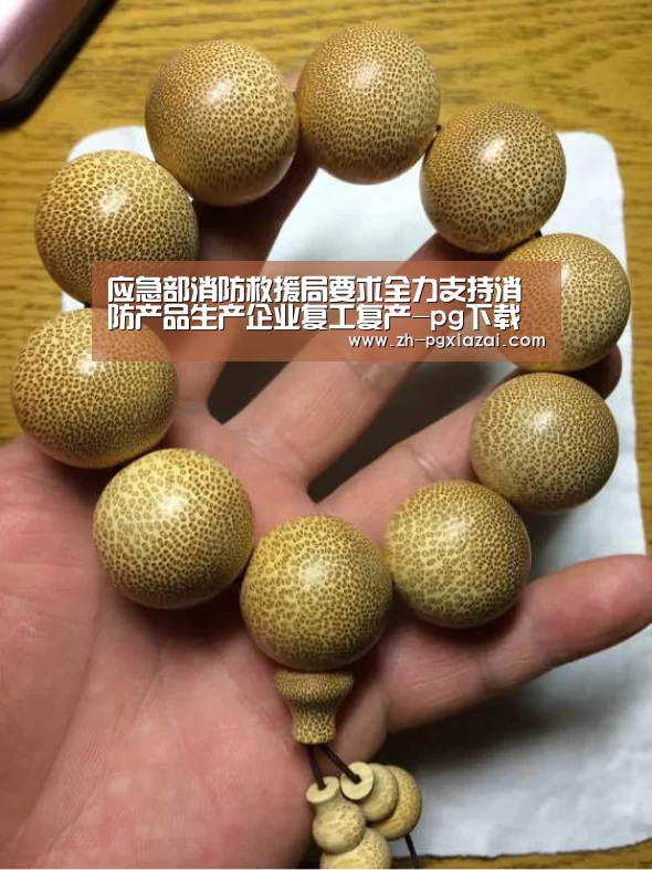 应急部消防救援局要求全力支持消防产品生产企业复工复产-pg下载(图1) pg下载