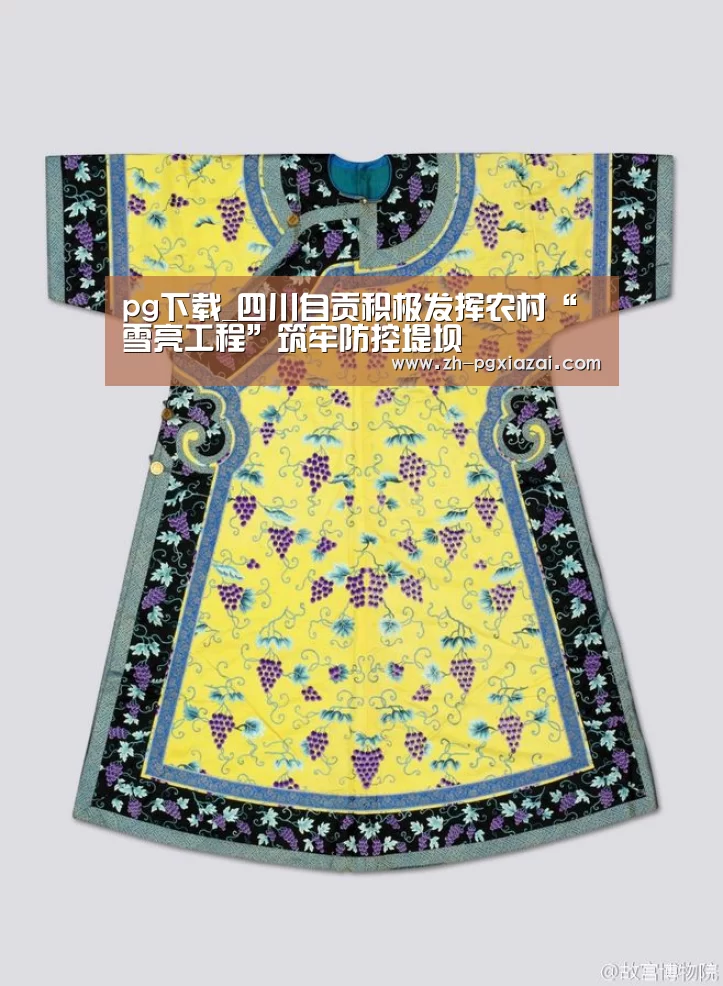 pg下载_四川自贡积极发挥农村“雪亮工程”筑牢防控堤坝(图2) pg下载