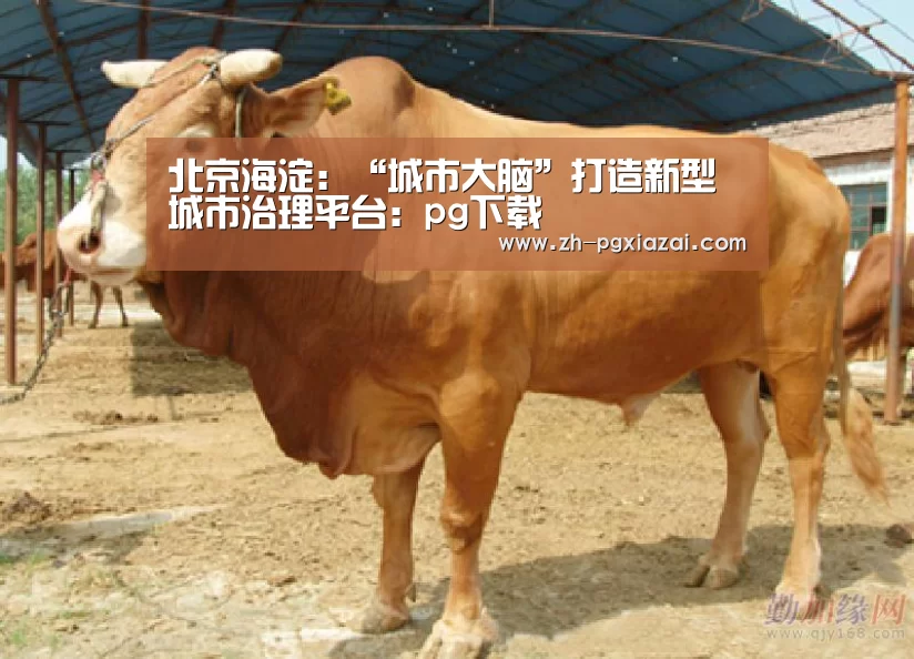pg下载