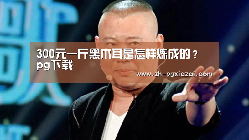 pg下载