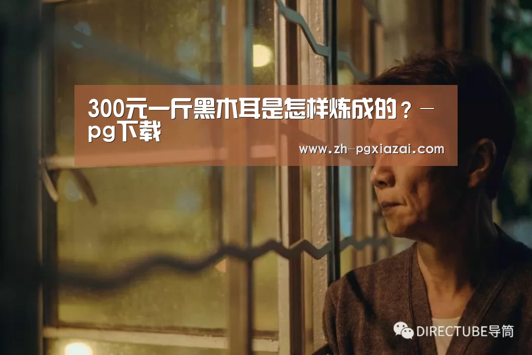 pg下载