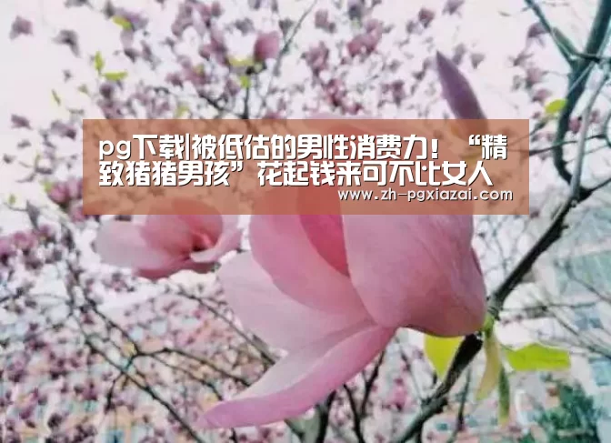 pg下载|被低估的男性消费力!“精致猪猪男孩”花起钱来可不比女人差!(图1) pg下载