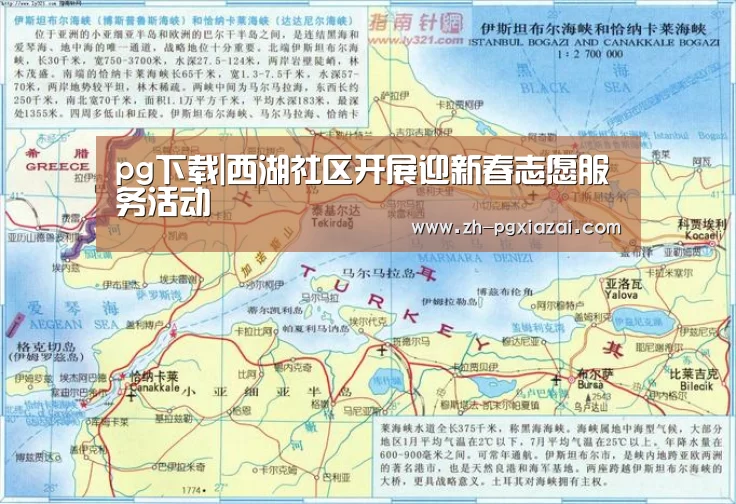 pg下载|西湖社区开展迎新春志愿服务活动(图2) pg下载
