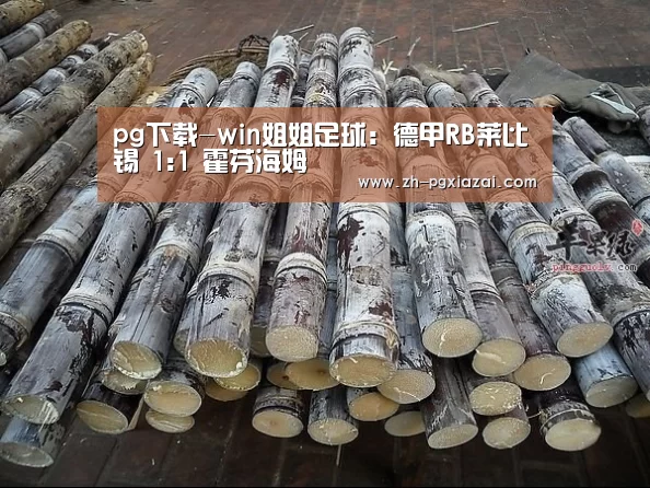 pg下载-win姐姐足球：德甲RB莱比锡 1:1 霍芬海姆