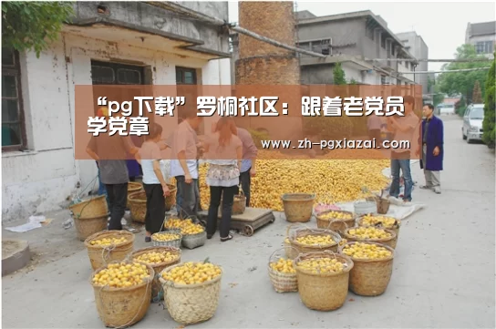 “pg下载”罗桐社区:跟着老党员学党章(图2) pg下载