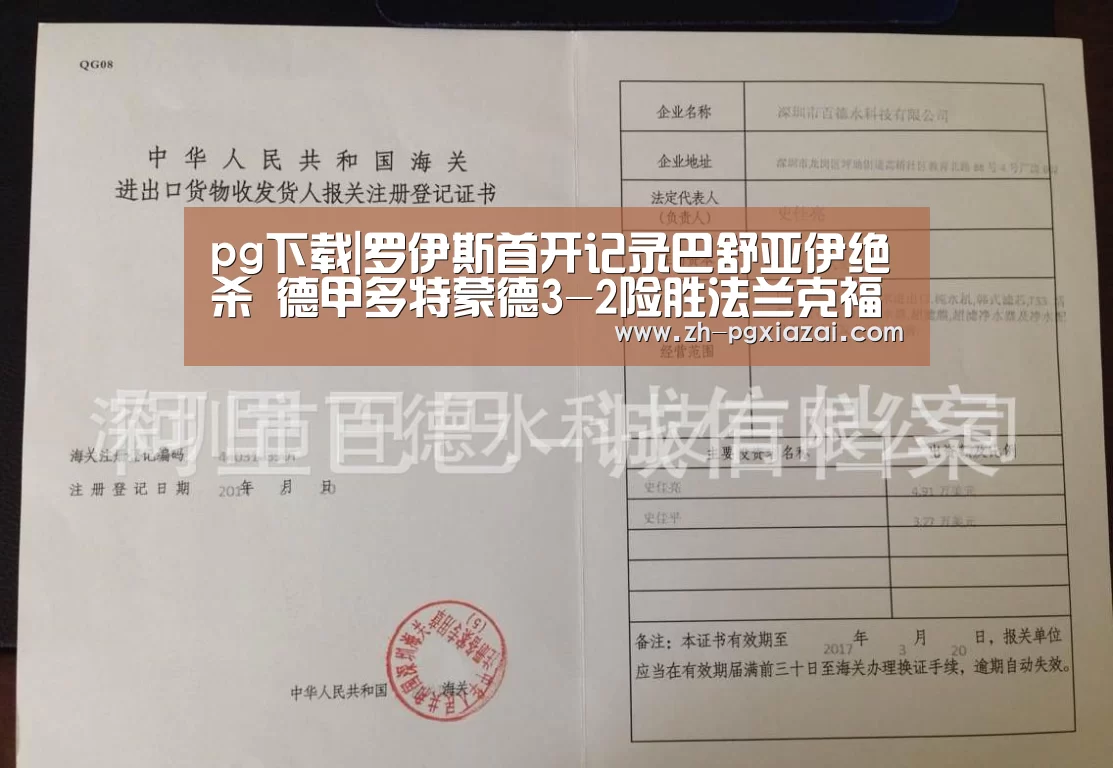pg下载|罗伊斯首开记录巴舒亚伊绝杀 德甲多特蒙德3-2险胜