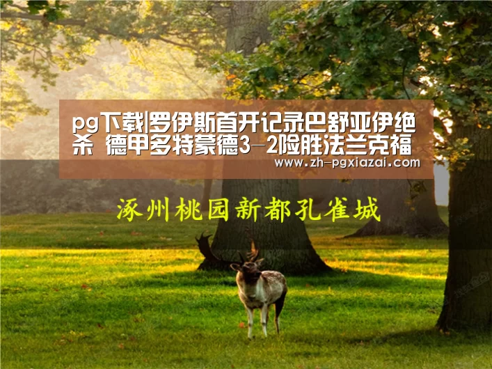 pg下载|罗伊斯首开记录巴舒亚伊绝杀 德甲多特蒙德3-2险胜法兰克福(图2) pg下载