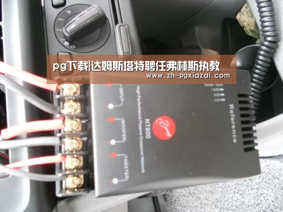 pg下载