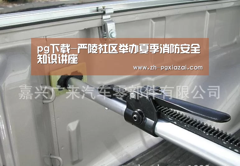 pg下载