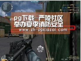 pg下载