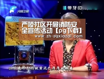 pg下载