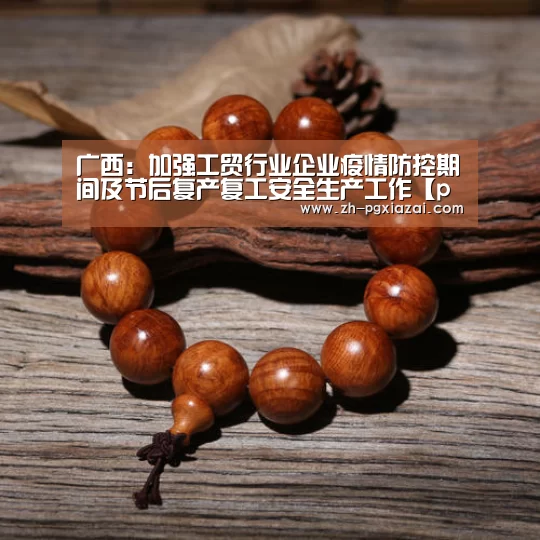 广西:加强工贸行业企业疫情防控期间及节后复产复工安全生产工作【pg下载】(图1) pg下载