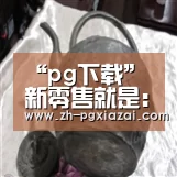 pg下载