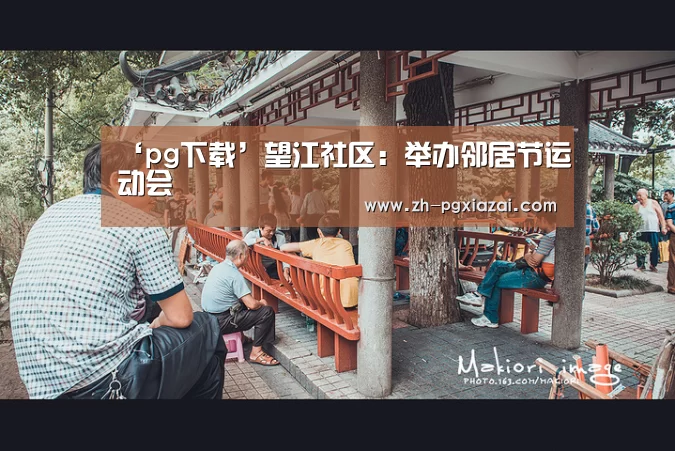 pg下载