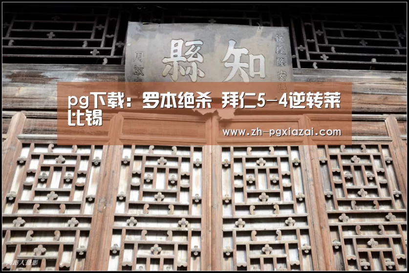 pg下载
