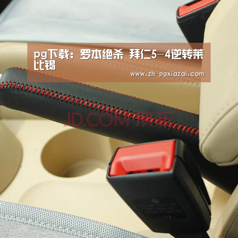pg下载