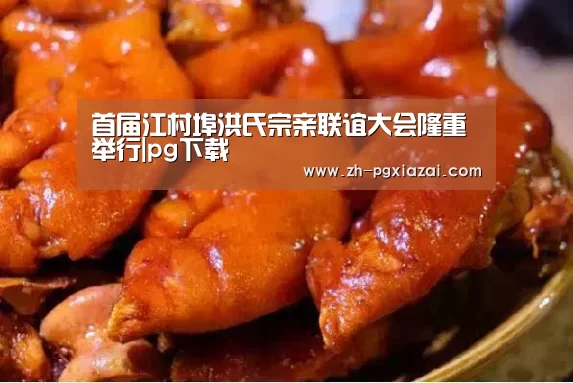 首届江村埠洪氏宗亲联谊大会隆重举行|pg下载(图3) pg下载