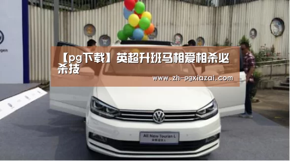 pg下载