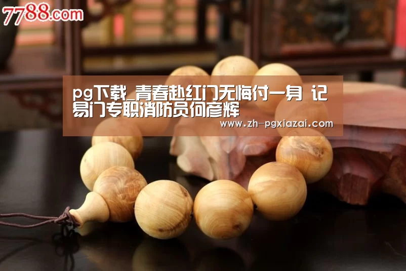pg下载