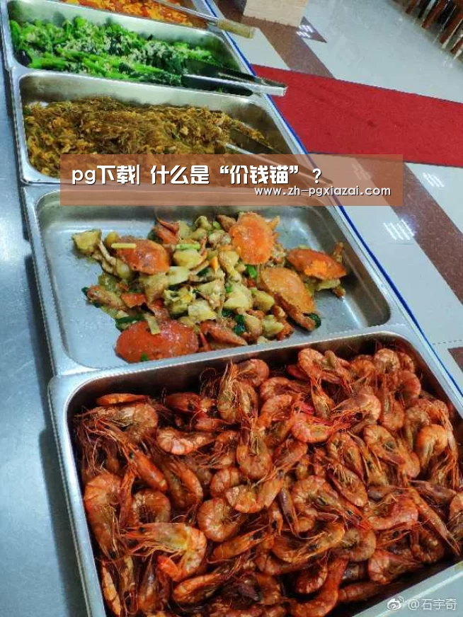 pg下载