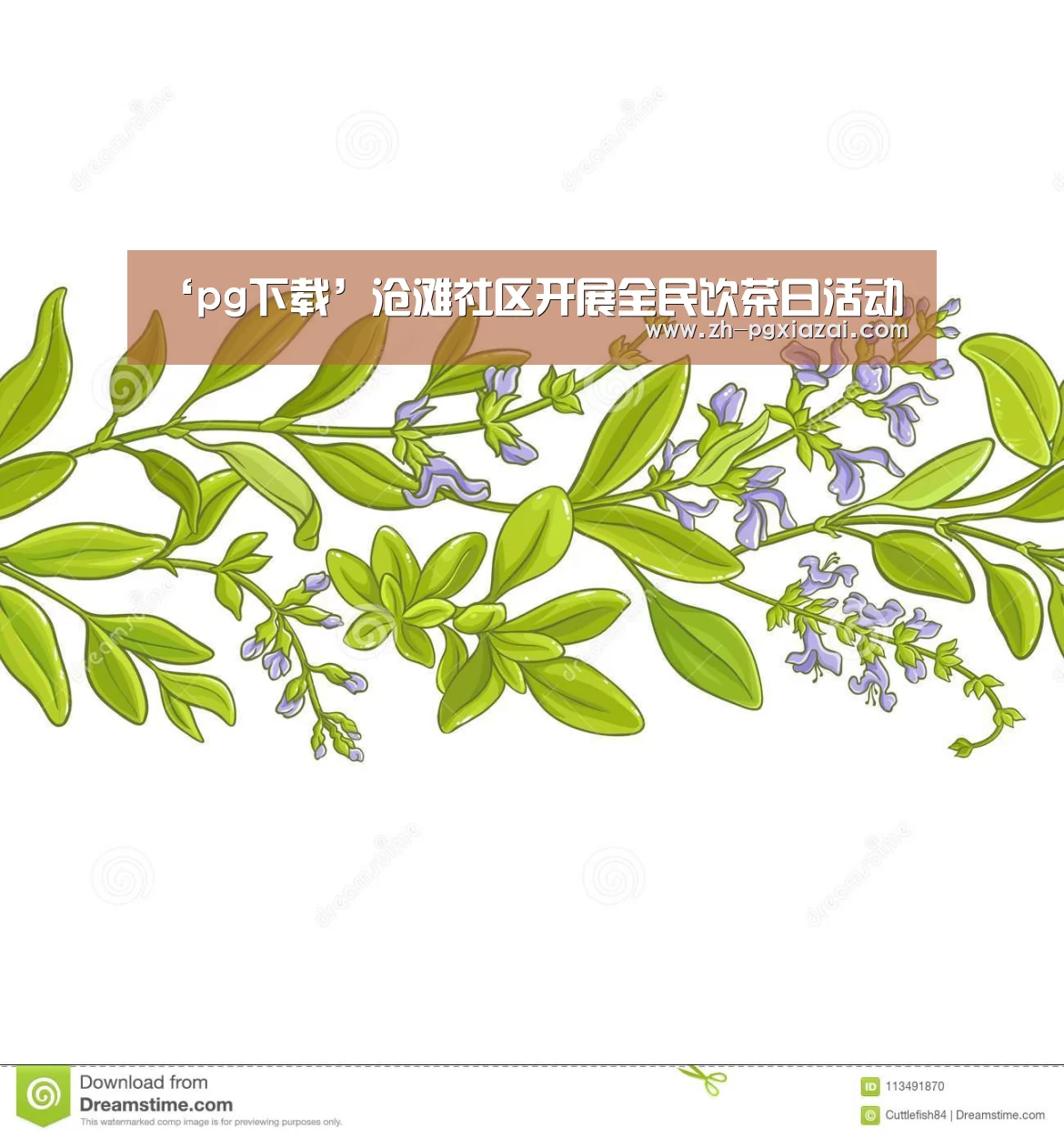 ‘pg下载’沧滩社区开展全民饮茶日活动(图3) pg下载