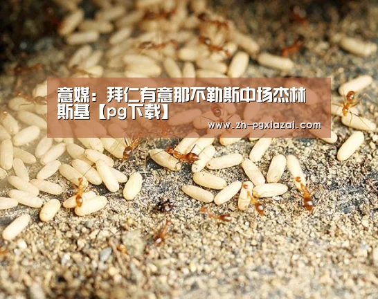 pg下载