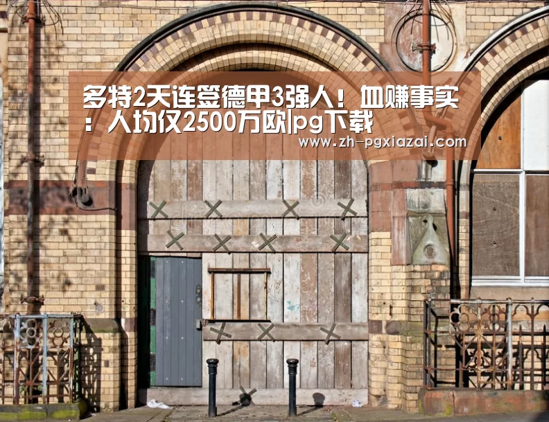 多特2天连签德甲3强人！血赚事实：人均仅2500万欧|pg下