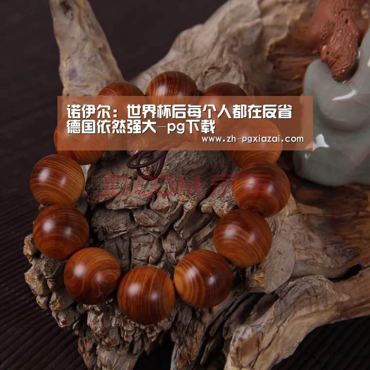 pg下载
