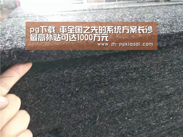 pg下载