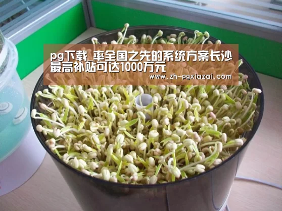 pg下载