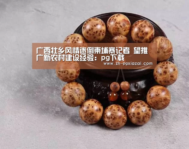 广西壮乡风情迷倒柬埔寨记者 望推广新农村建设经验:pg下载(图2) pg下载