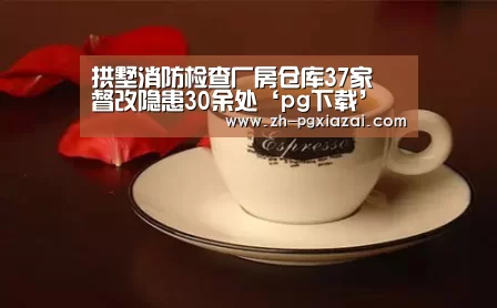 pg下载