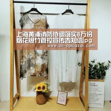 上海黄浦消防协调落实8万份烟花爆竹管控宣传告知信|pg下载(图1) pg下载