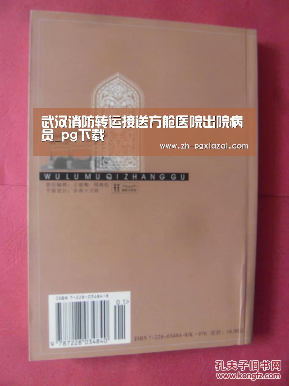 武汉消防转运接送方舱医院出院病员_pg下载(图1) pg下载
