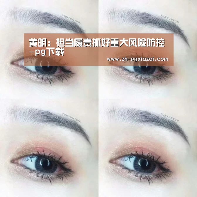pg下载