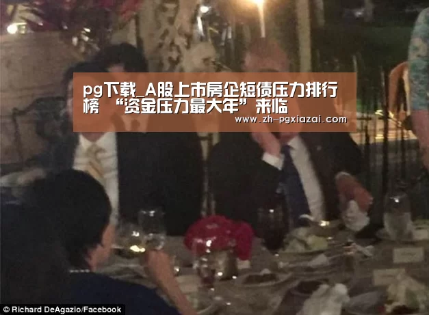 pg下载
