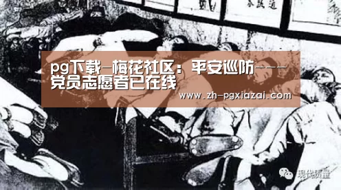 pg下载