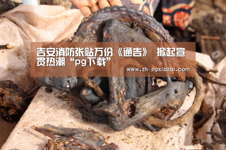 吉安消防张贴万份《通告》 掀起宣贯热潮“pg下载”(图1) pg下载