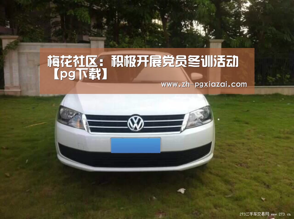 pg下载