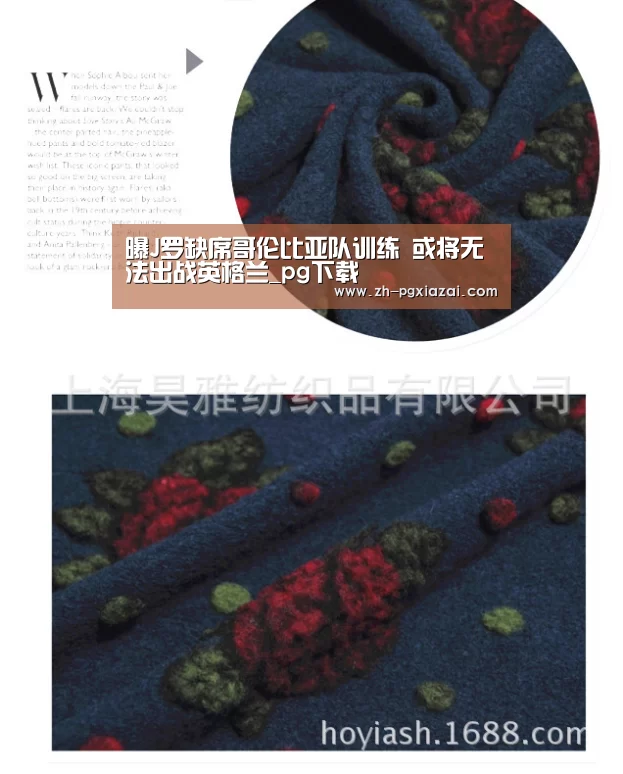 曝J罗缺席哥伦比亚队训练 或将无法出战英格兰_pg下载